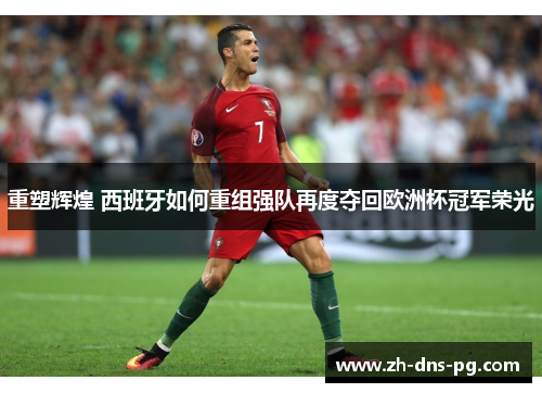 重塑辉煌 西班牙如何重组强队再度夺回欧洲杯冠军荣光