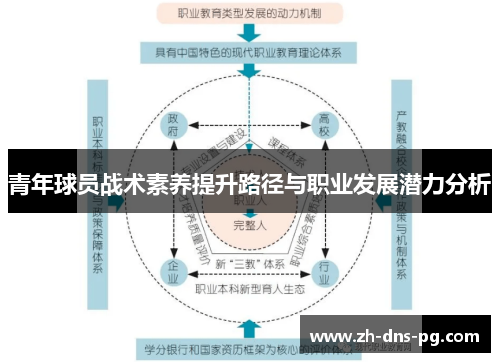 青年球员战术素养提升路径与职业发展潜力分析