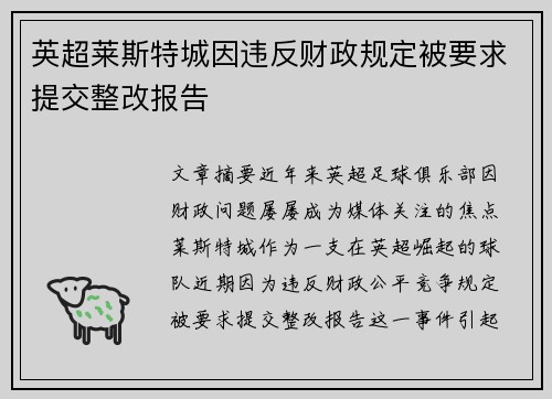 英超莱斯特城因违反财政规定被要求提交整改报告